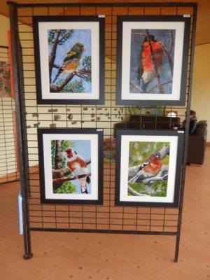 Four framed paintings of finches