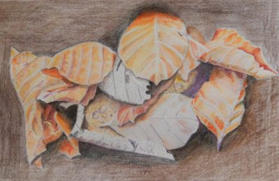 Relationship between leaves in a pile.