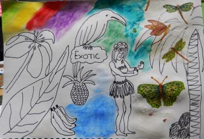 Sketching around the word exotic