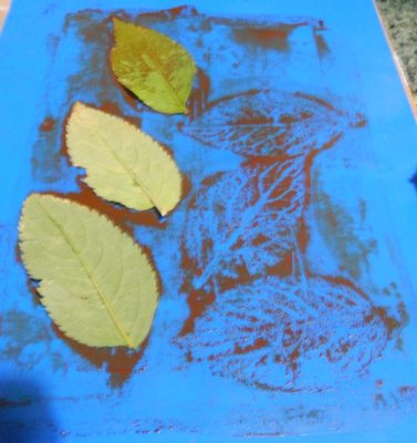 Removing the leaves to show the ghost impression