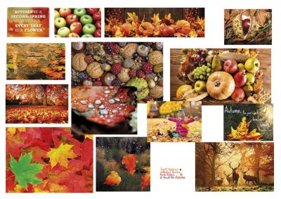 Moodboard for Autumn