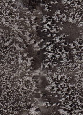 Ink and salt texture