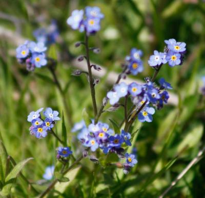 Read more about the article Spring is in Full Swing