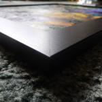 Corner of speckled wood