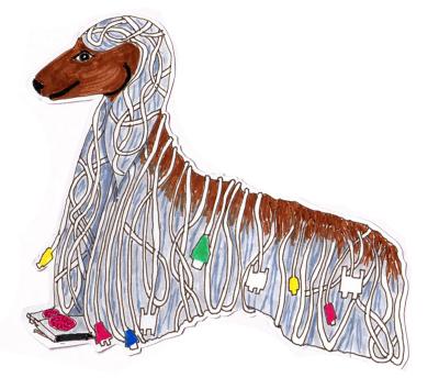 Read more about the article Visual Distortion