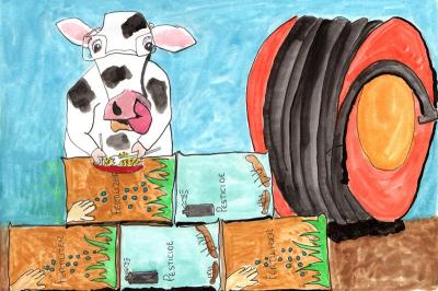 How green is your food final