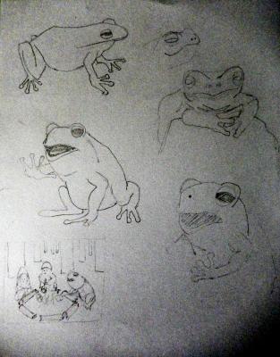Frog in the wild sketchbook
