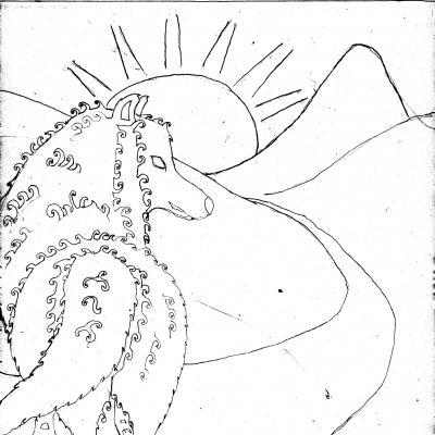 Wolf on a journey rough