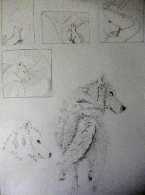 Wolf on a journey sketchbook