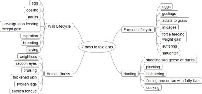 Mindmap of foie gras story