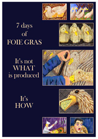 Read more about the article Illustration1 Exercise List