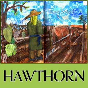 Read more about the article Celtic Hawthorn Mixed Media Spread