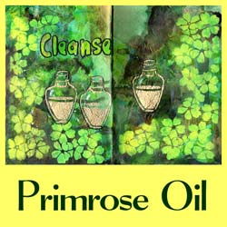 Read more about the article 3 Ways to Celebrate Primroses You’ll Love