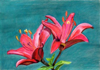 red liles on teal background