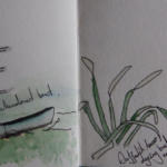 Fence, boat, daffodils