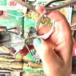 Cured resin stag beetle