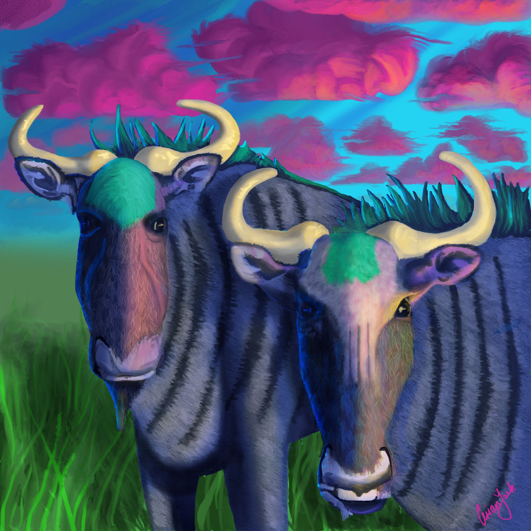 wilderBLUEst - image of 2 blue wilderbeast