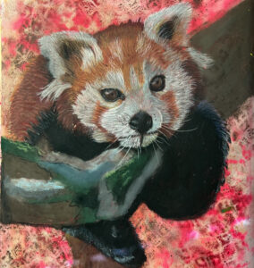 Read more about the article Cuteeee Red Panda in Pastel and Coloured Pencil